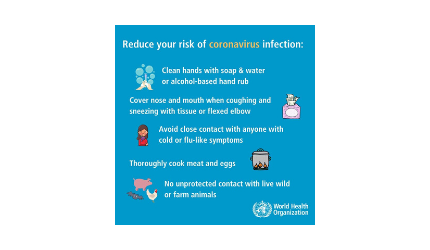 RECOMMENDATIONS AND ADVICE FOR THE PUBLIC