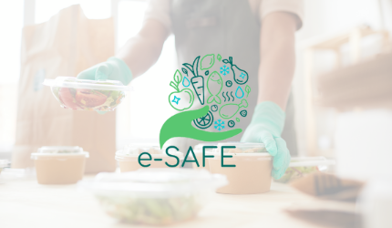 Το πρώτο newsletter του ευρωπαϊκού προγράμματος e-SAFE