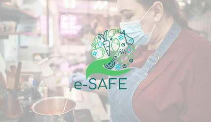 Το δεύτερο newsletter του ευρωπαϊκού προγράμματος e-SAFE