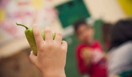 Καθημερινά υγιεινά γεύματα σε σχολεία της Περιφέρειας Πελοποννήσου με το Πρόγραμμα ΔΙΑΤΡΟΦΗ του Ινστιτούτου Prolepsis