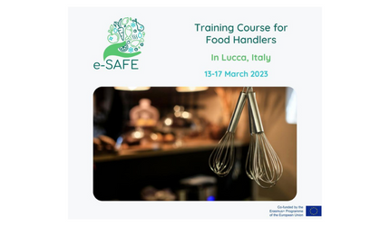 Το Ινστιτούτο Prolepsis στο ευρωπαϊκό εκπαιδευτικό σεμινάριο του προγράμματος e-SAFE